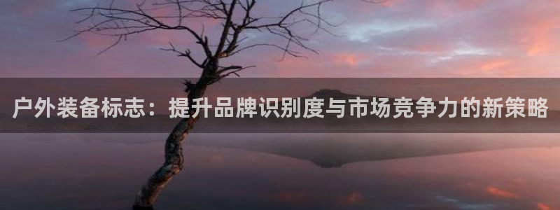 收新宝gg