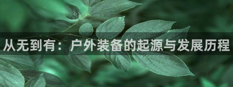 新宝gg客户登录