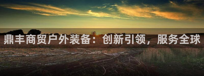 新宝gg如何代理