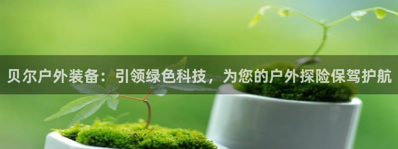 新宝gg游戏平台