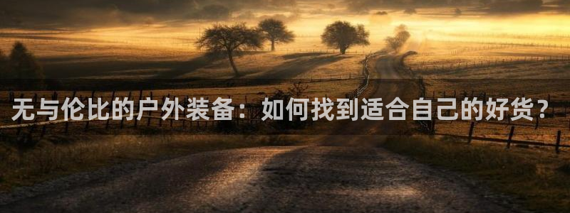 新宝gg下载官网下载