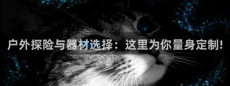 新宝gg手机注册官网