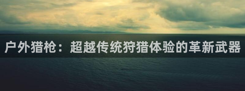 新宝gg是新宝几