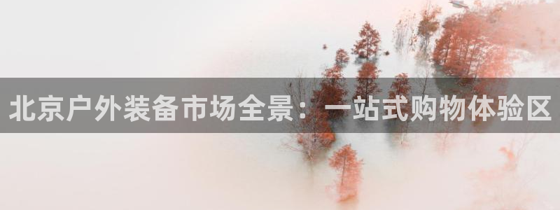 新宝gg手机助手