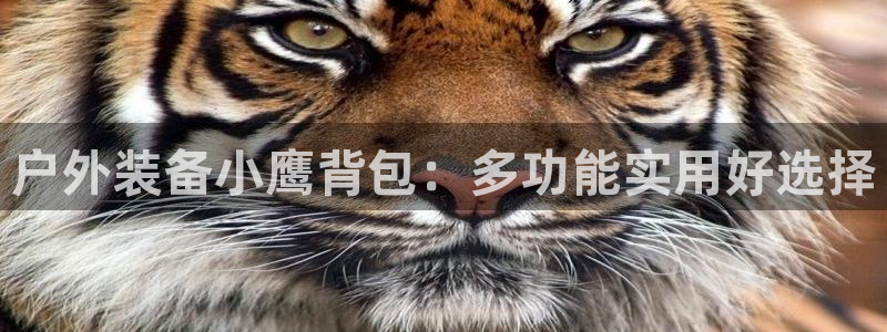 新宝gg游戏登录