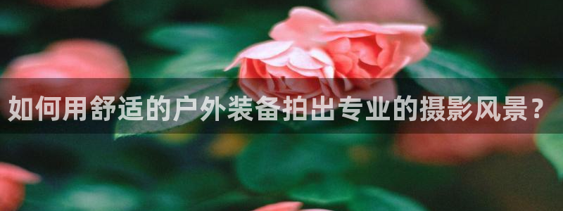 新宝gg总代理