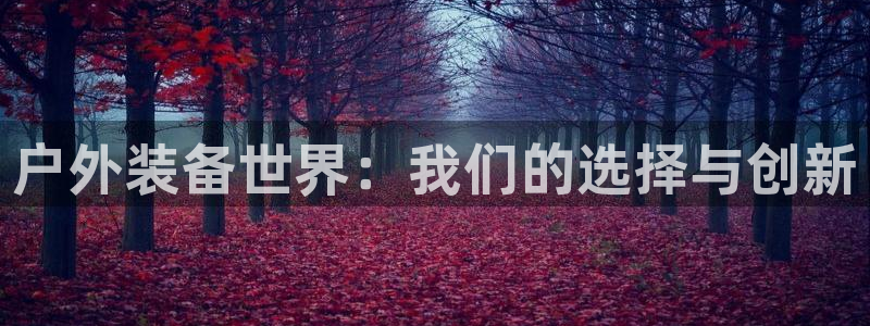 新宝gg登