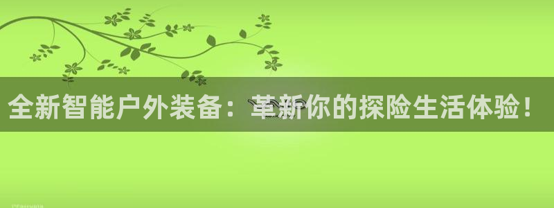 新宝gg返点模式