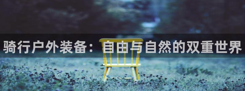 新宝gg手机