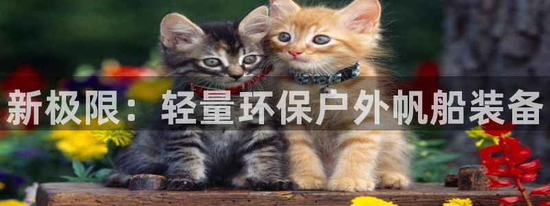 新宝gg娱乐怎么样