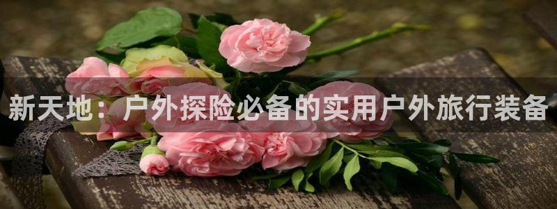 新宝GG速度