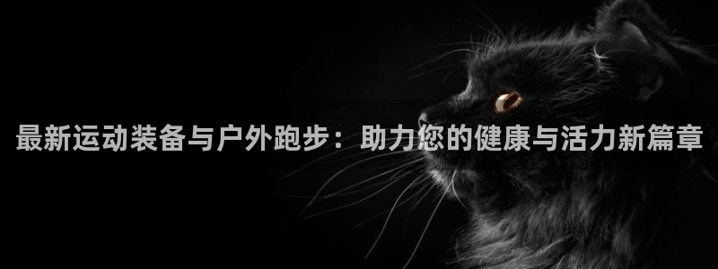 新宝gg创造奇迹下载