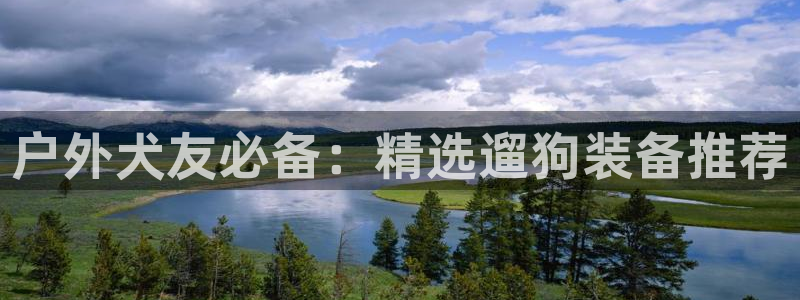 新宝gg6娱乐注册网址