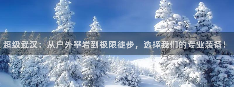 新宝GG—创造奇迹