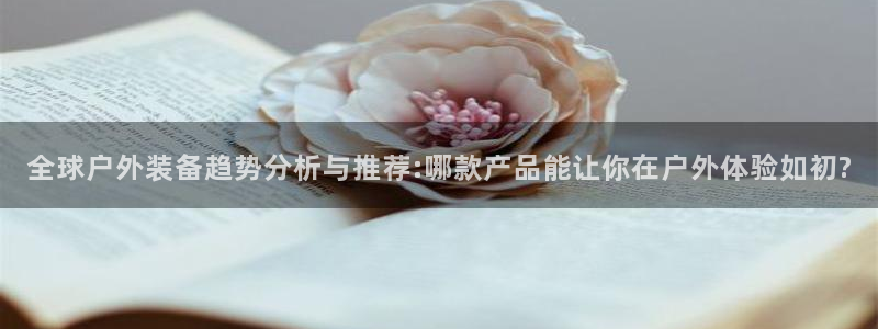 新宝GG无法充值