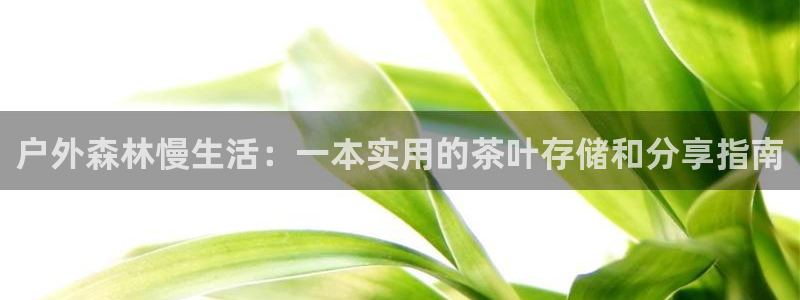 新宝 gg平台