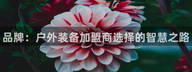 娱乐世界新宝gg