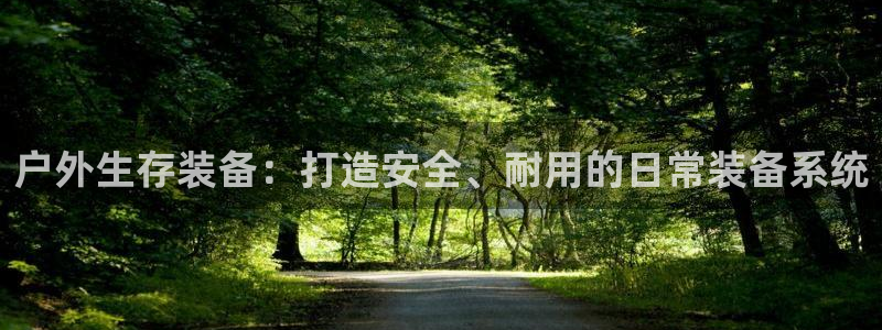 新宝gg娱乐怎么样