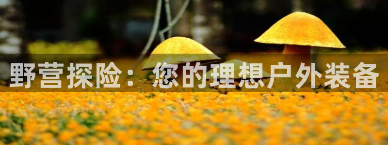 新宝太阳 gg