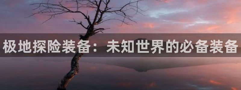 新宝gg.