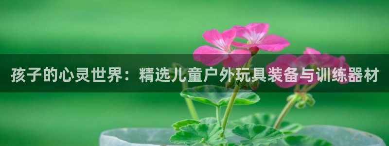 新宝gg论坛