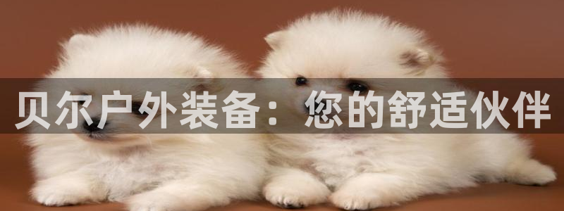 www.新宝gg