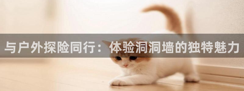 新宝gg招商