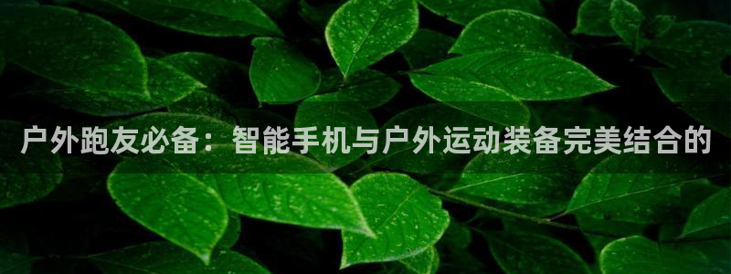 新宝GG上级