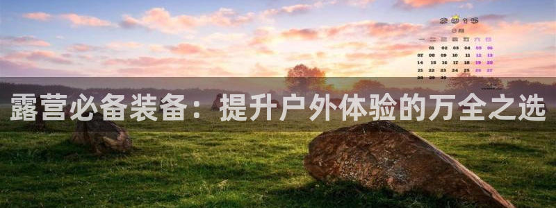 新宝GG专业团队