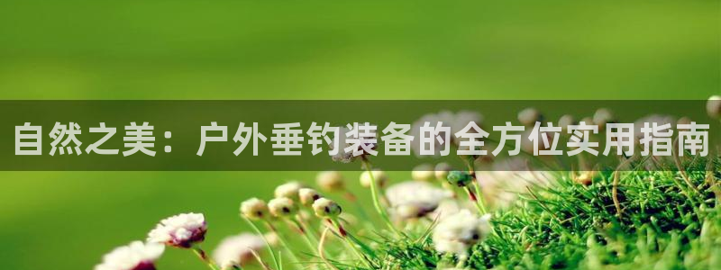 新宝gg游戏登录