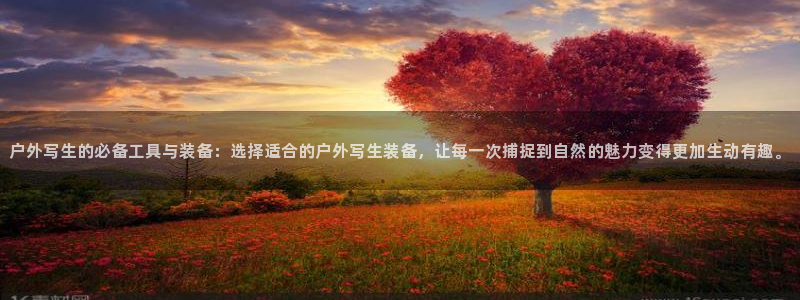 新宝gg娱乐平台