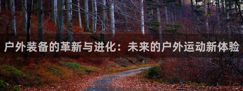 新宝gg娱乐盟主