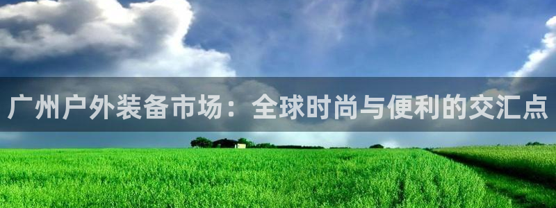 新宝gg手机版下载