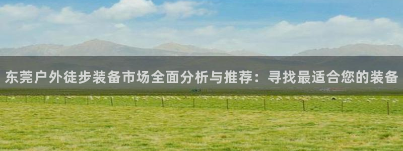 新宝gg登录页面