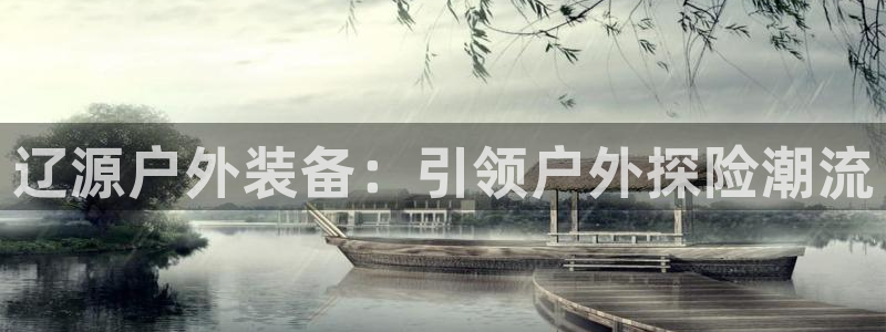 新宝gg手机登录官网