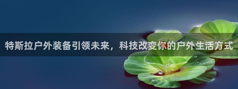 新宝gg   创造奇迹