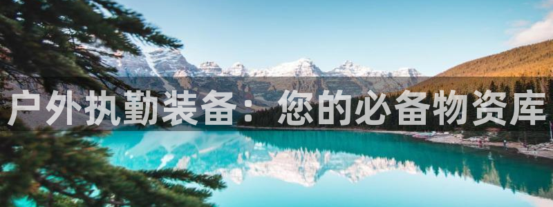 新宝gg入口网址