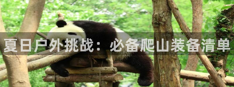 新宝GG娱乐下载