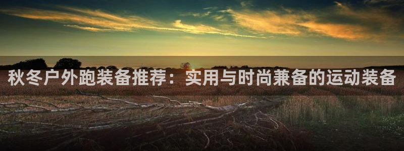 新宝gg手机登录