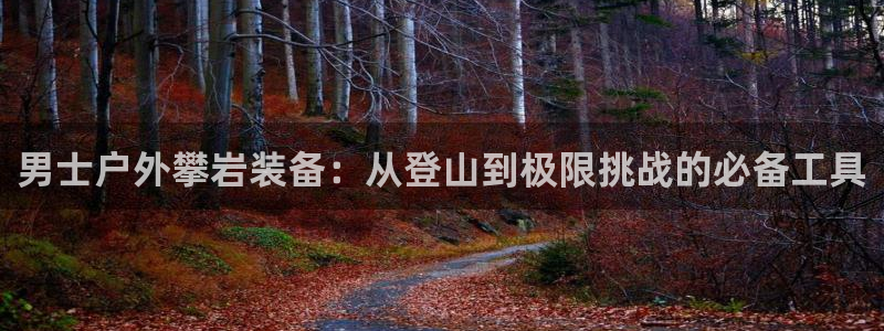 新宝gg手机登录官网